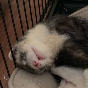 Meet your Posher, June